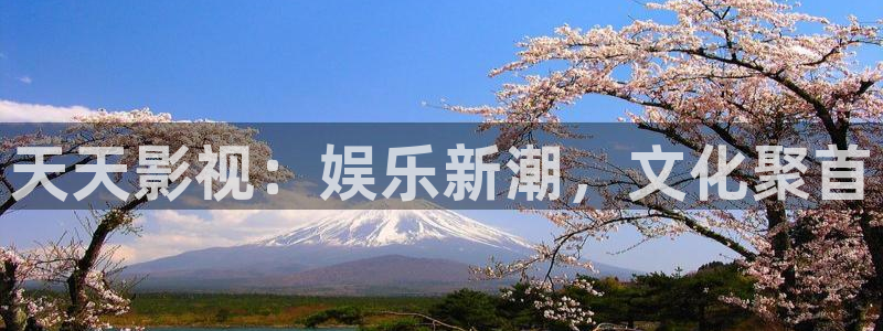 神马白旗电影