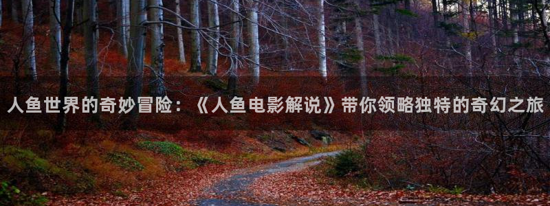 神马老子午夜电影网