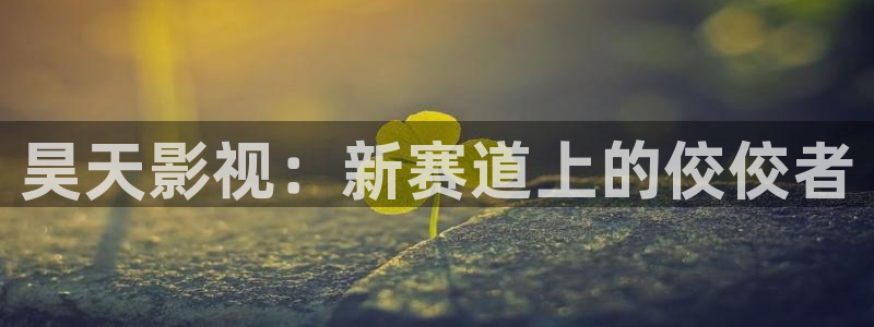 神马电影姐姐的朋友