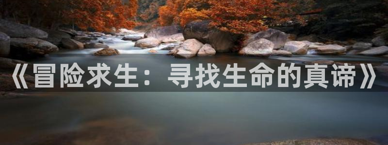 我不卡神马影院手机在线