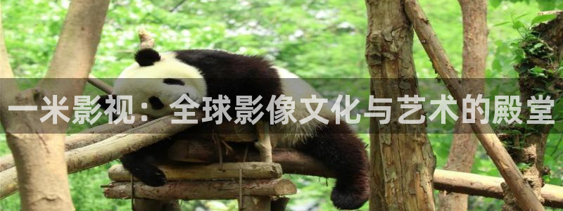 神马不卡手机影院