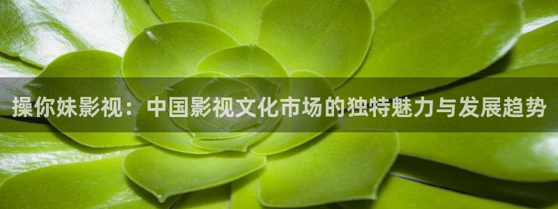 清宫性史神马影院