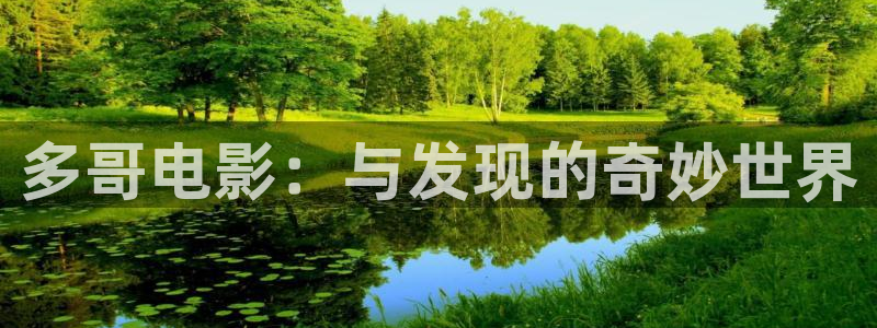 神马伦理韩国