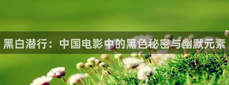 神马影院在线,观看