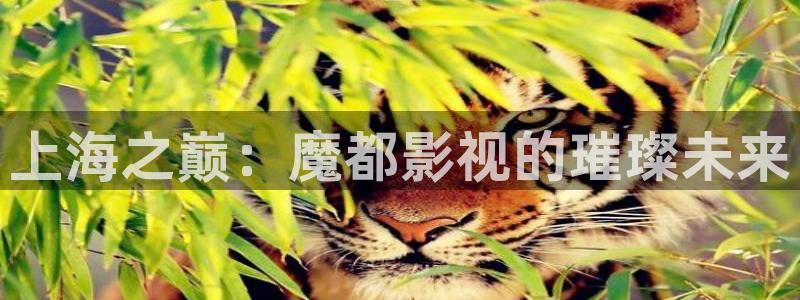 大地影院神马高清完整版中文