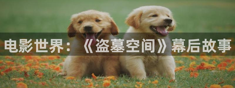 神马秋霞伦理影院
