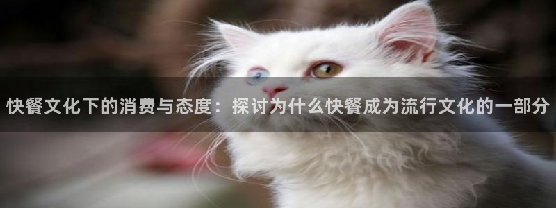 神马电影网在线观看我的姐姐