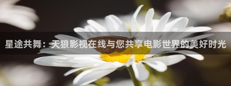 神马影视手机版