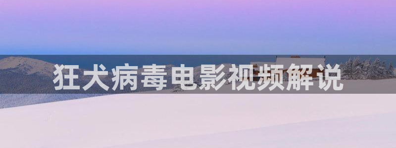 神马午夜电影一区二区三区在线观看