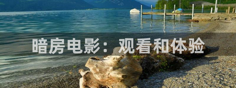 神马电影网站大全