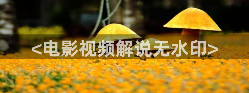 电影天堂神马影院神马电影网