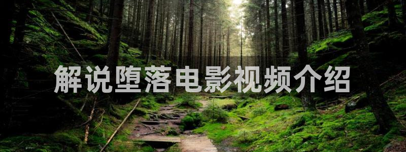 神马理论电影在线观看