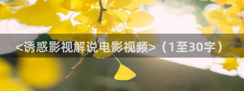 午夜神马免费影院