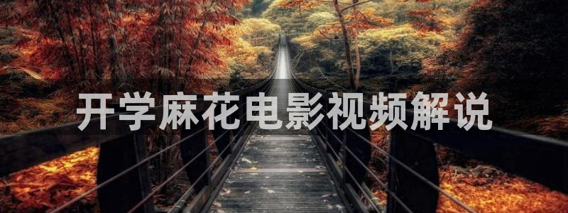 神马午夜影院免费