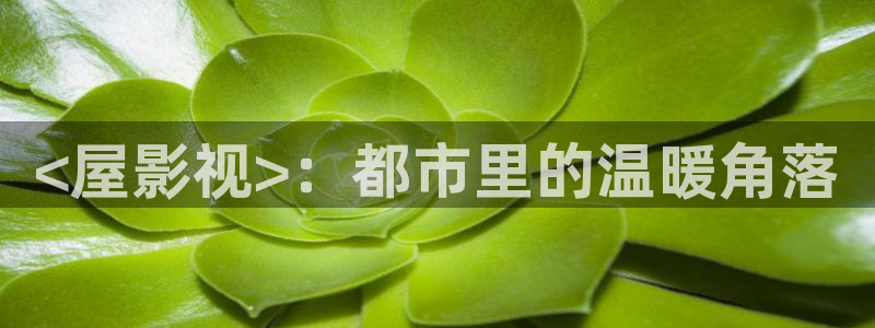 神马影院新视觉
