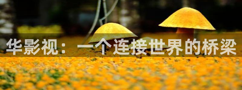神马原来影院电视剧免费观看