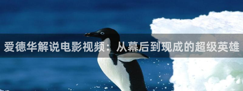 新神马影院不卡伦