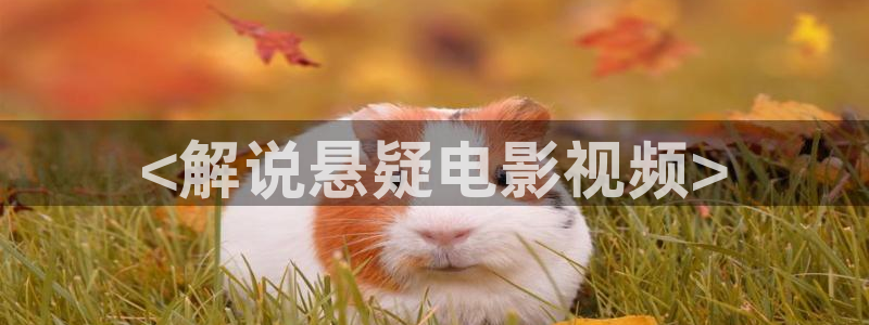 最近神马影院在线观看