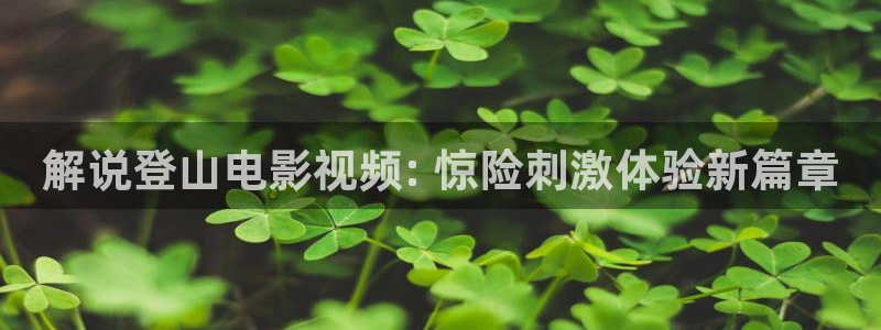 神马影院达达兔第九影院