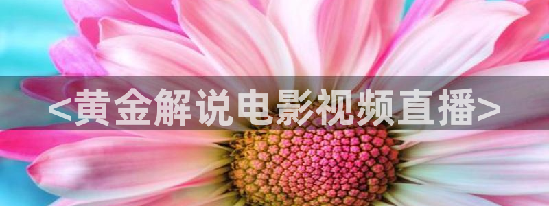 神马影院在线app下载