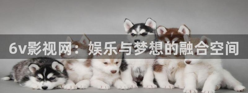 神马午夜老子伦理