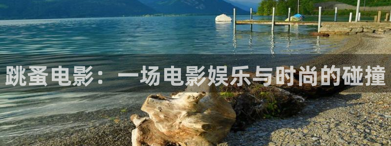 三级伦理片神马影院：跳蚤电影：一场电影娱乐与时尚的碰撞