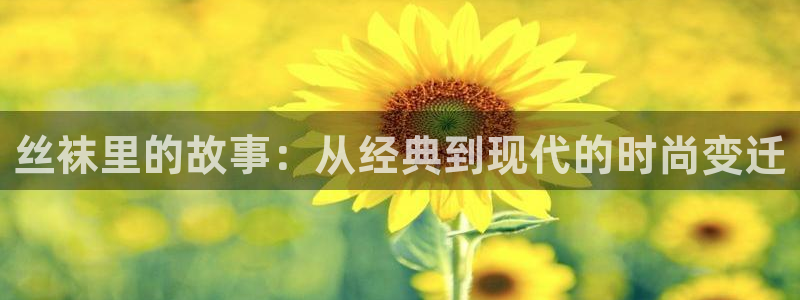 神马不卡理论：丝袜里的故事：从经典到现代的时尚变迁