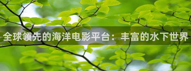 神马光棍电影在线观看：全球领先的海洋电影平台：丰富的水下世界