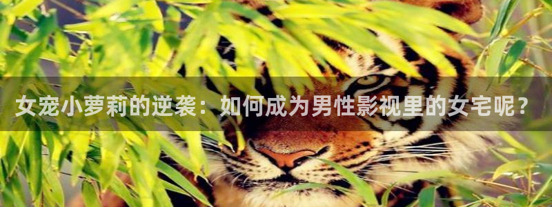 原来神马电影网手机版：女宠小萝莉的逆袭：如何成为男性影视里的女宅呢？