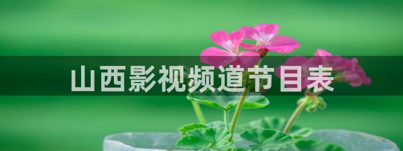 神马影院三级电影：山西影视频道节目表