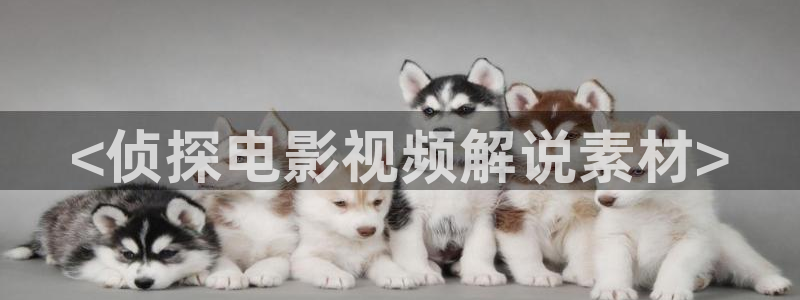 神马影院888：<侦探电影视频解说素材>