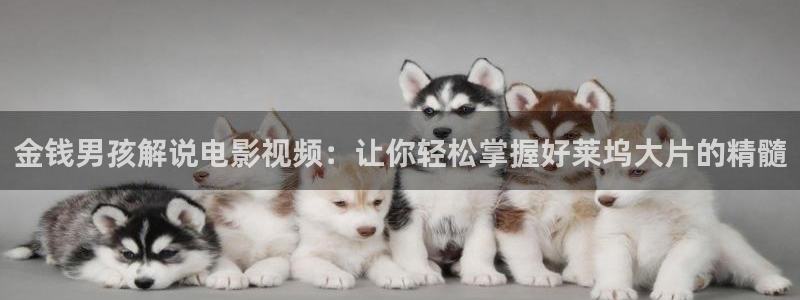 神马电影哒哒兔秋霞电影：金钱男孩解说电影视频：让你轻松掌握好莱坞大片的精髓