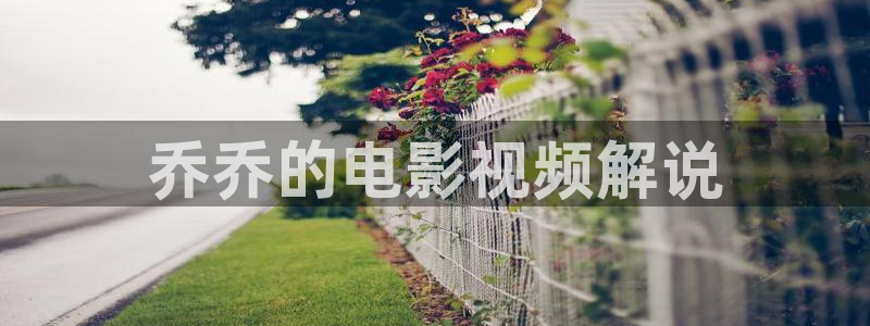 神马第九达达兔电影网：乔乔的电影视频解说