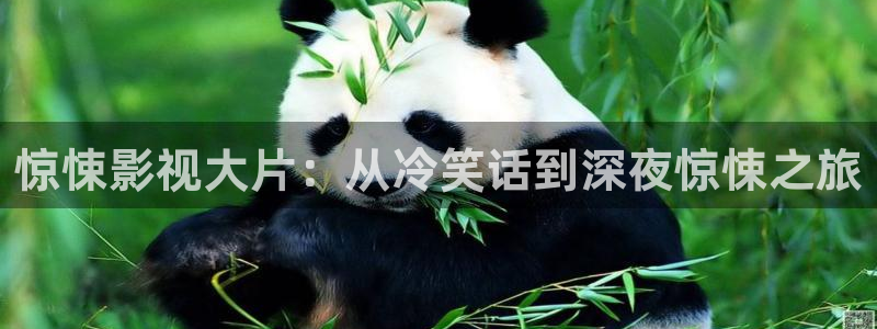 原神马影视在线观看：惊悚影视大片：从冷笑话到深夜惊悚之旅