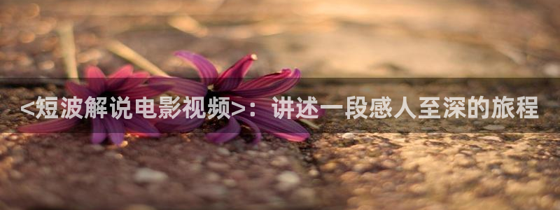 神马影院九七：<短波解说电影视频>：讲述一段感人至深的旅程