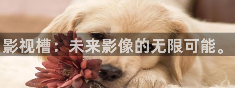 神马手机影院免费看：影视槽：未来影像的无限可能。