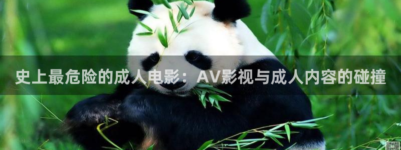 神马影院网站入口：史上最危险的成人电影：AV影视与成人内容的碰撞