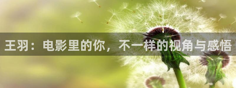 神马电影网第9影院：王羽：电影里的你，不一样的视角与感悟