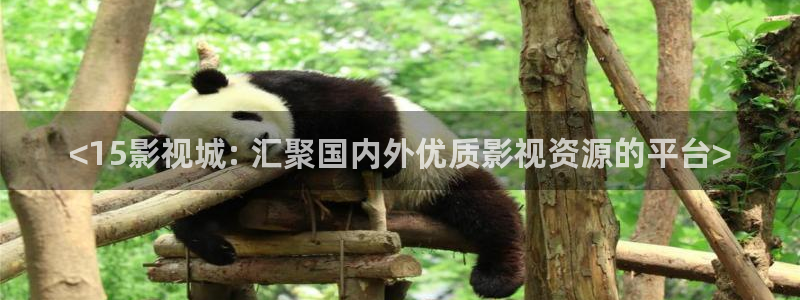 6080神马影院官网：<15影视城: 汇聚国内外优质影视资源的平台>