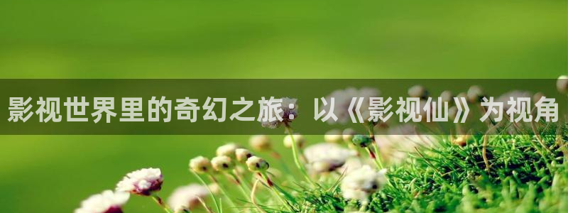 我不是什么神马影院网：影视世界里的奇幻之旅：以《影视仙》为视角