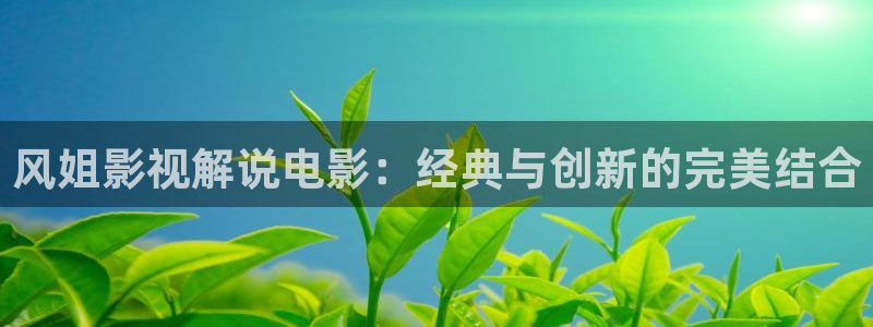 神马电影午夜dy：风姐影视解说电影：经典与创新的完美结合