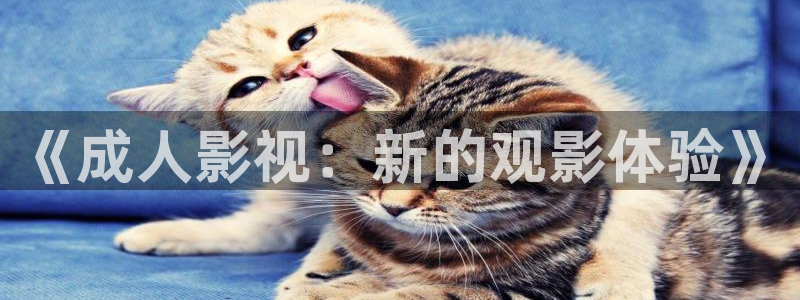 神马影院推理片免费在线：《成人影视：新的观影体验》