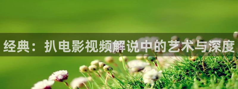 神马影院伦理片欧美：经典：扒电影视频解说中的艺术与深度