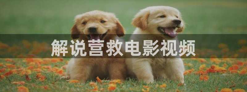 yy神马影院：解说营救电影视频