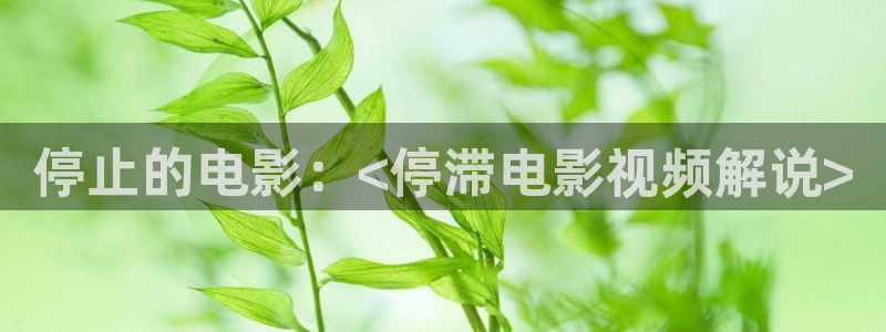 神马影院午夜大片：停止的电影：<停滞电影视频解说>