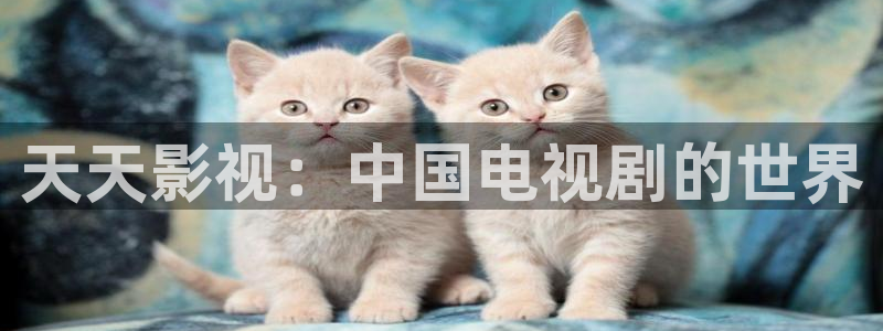 神马影视午夜：天天影视：中国电视剧的世界