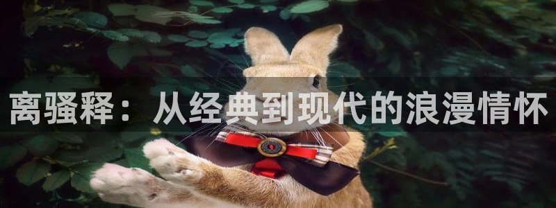 神马我不卡影院在线观看：离骚释：从经典到现代的浪漫情怀