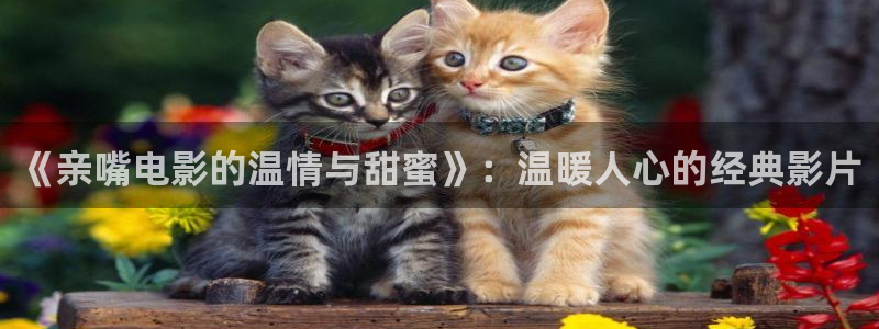 神马九九影院：《亲嘴电影的温情与甜蜜》：温暖人心的经典影片