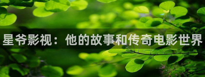 午夜神马影视影院在线：星爷影视：他的故事和传奇电影世界