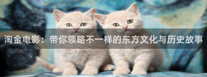 神马影院国产麻豆：淘金电影：带你领略不一样的东方文化与历史故事